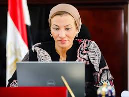 فرص الإستثمار فى مجال المخلفات الطبية