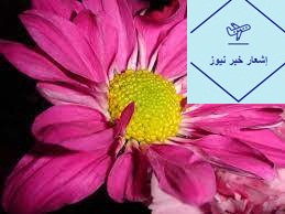 كلمات من قلب مخلص