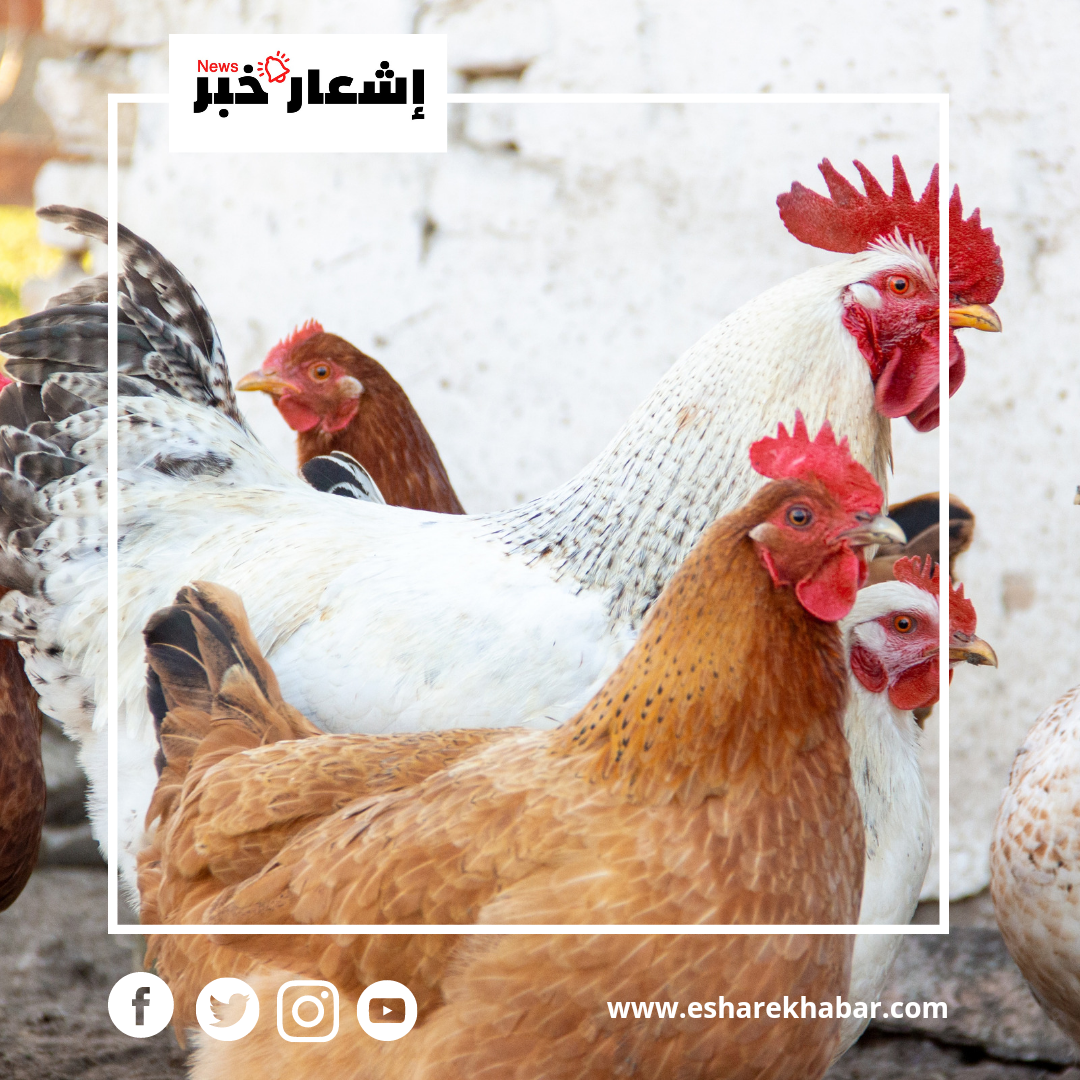 20221226_131242_٠٠٠٠