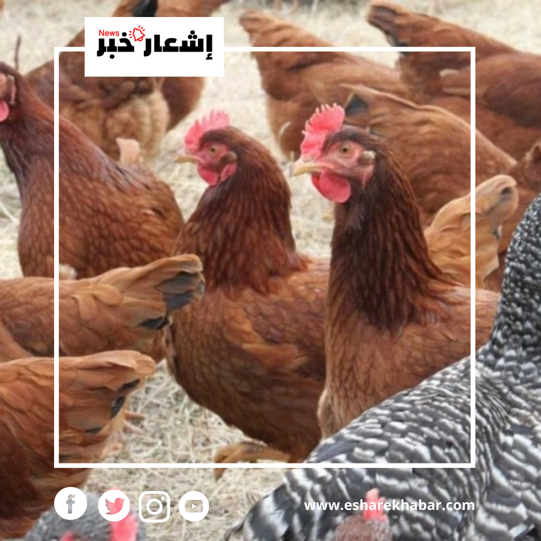 png_20221223_165850_٠٠٠٠