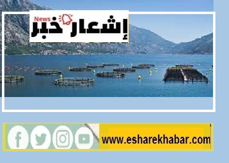 ركائزعملية الاستزراع السمكي