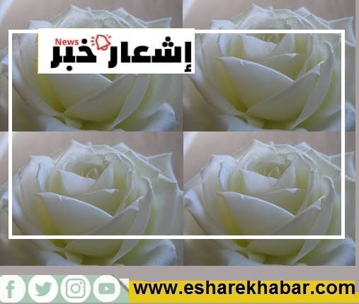 العلم رساله العلماء