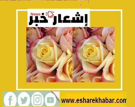 الوصول للجمال الحقيقي