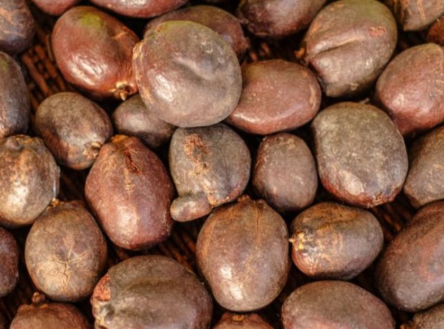 IMG_٢٠٢٣٠٦٠٢_٠٢٣٢٠٣