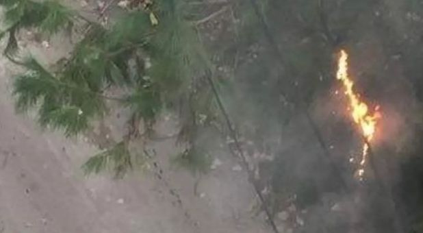 IMG_٢٠٢٣٠٦٠٧_٠٢١٧٢٥