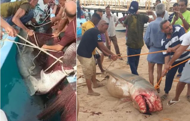 IMG_٢٠٢٣٠٦١١_١٦٢١٢١