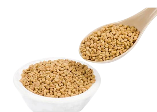 ei_1685574171204-removebg-preview