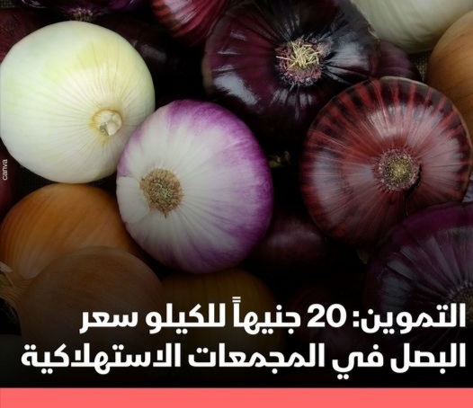 IMG_٢٠٢٣١٢٢٠_١٤٢٦٥٣