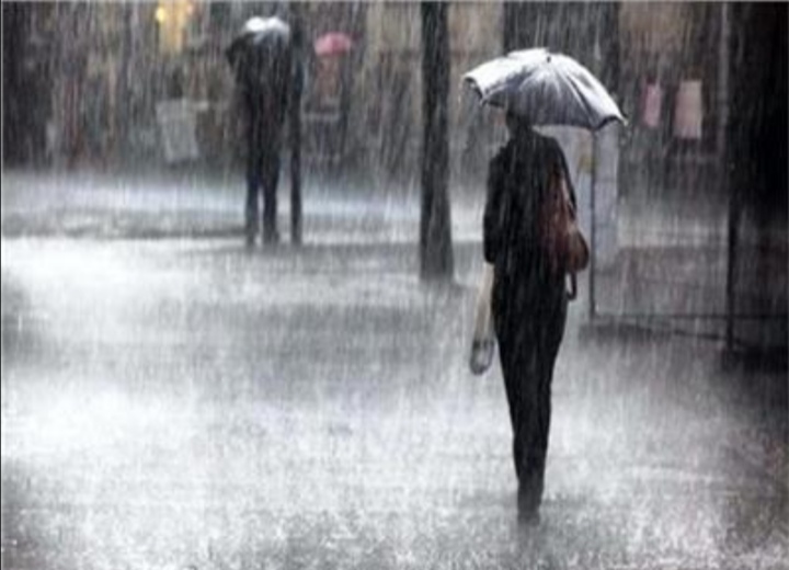 Screenshot_٢٠٢٣١٢١٢_١٤٠٨٢٢