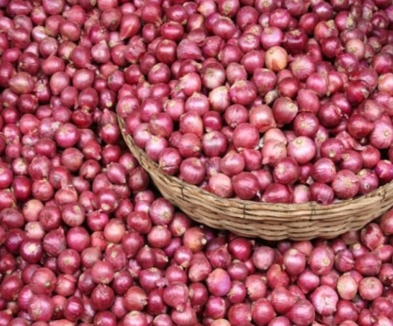 Screenshot_٢٠٢٣١٢١٢_٢٠٣٤٢٢