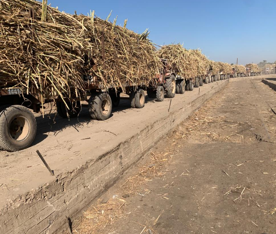 Screenshot_٢٠٢٤٠١٠٥_٢١٢٨٢٦_com.gbox.android