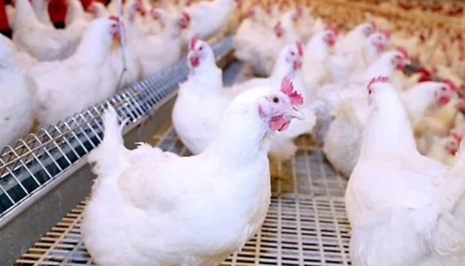 Screenshot_٢٠٢٤٠٢٠١_١٠١٦٢٥_com.gbox.android