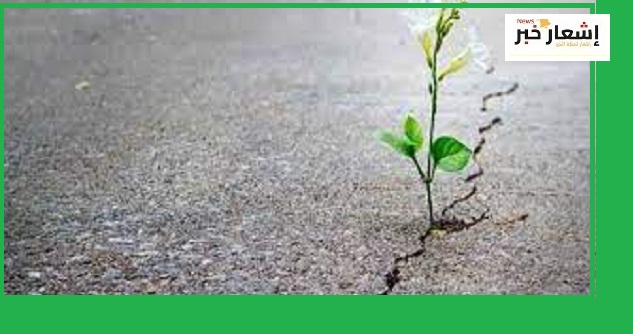 زراعة الأمل