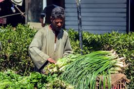 ماهو سبب عيد تسميه شم النسيم؟