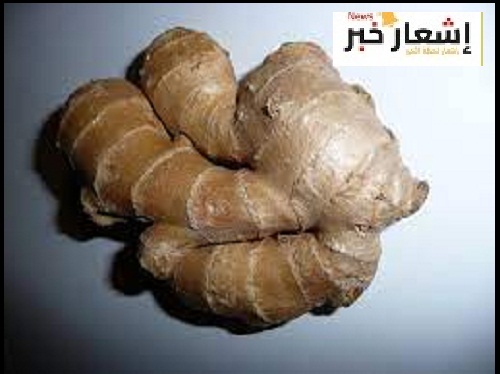 فوائد الزنجبيل