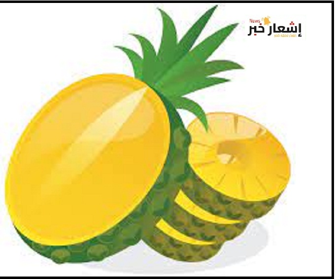 دراسة جدوى لزراعة الأناناس