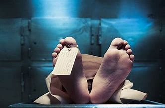 download_20240425_192722