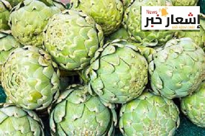 أهميه الخرشوف اقتصاديا وثقافيا