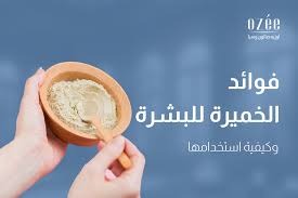 IMG-20240726-WA0024