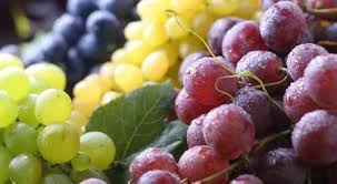IMG-20240814-WA0084