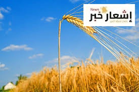 أنواع الشعير المختلفه