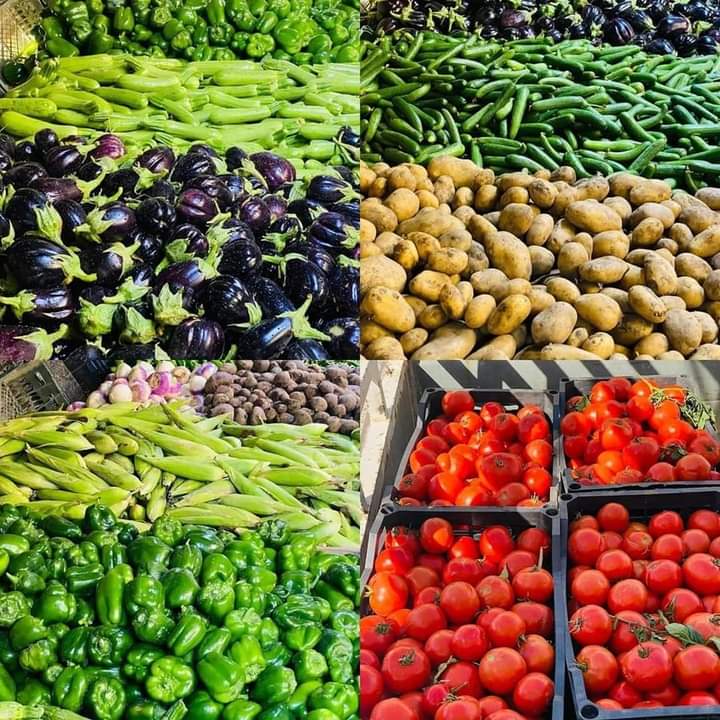 FB_IMG_1728394395725