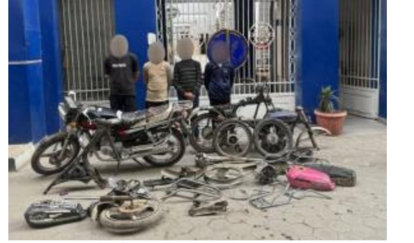 WhatsApp Image 2025-01-31 at 17.45.46_edc6b7dd