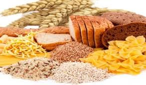 وظائف الكريوهيدرات