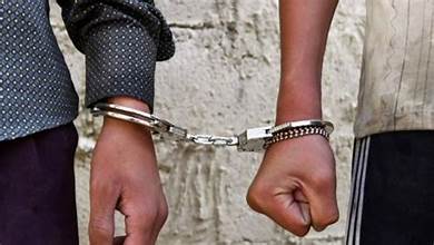 WhatsApp Image 2025-02-02 at 16.03.05_efb4ed0c