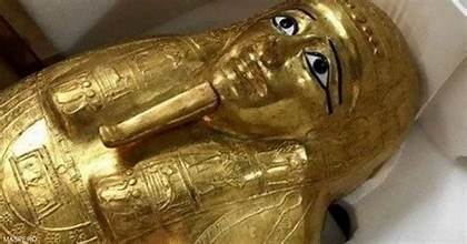 WhatsApp Image 2025-02-02 at 16.06.18_b5c19297