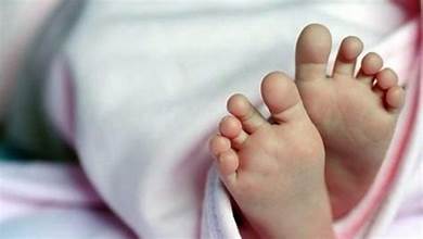 WhatsApp Image 2025-02-07 at 14.10.51_0c463dec