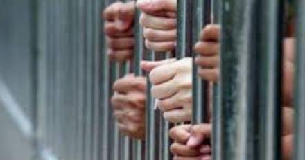 WhatsApp Image 2025-02-09 at 14.36.48_7bc812e0