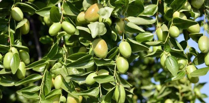 WhatsApp Image 2025-02-09 at 15.16.56_8d19f260