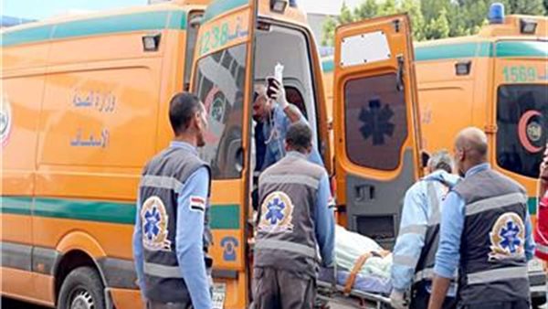 WhatsApp Image 2025-02-09 at 21.26.13_617fd01d