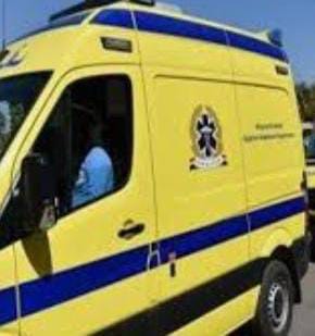 WhatsApp Image 2025-02-10 at 10.10.02_f35867ec