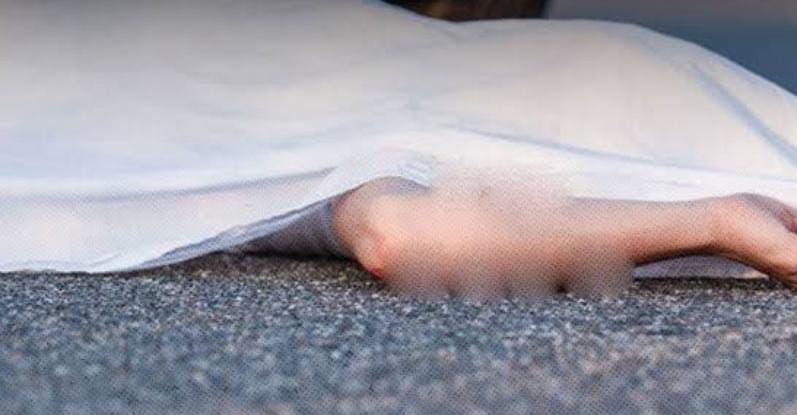 WhatsApp Image 2025-02-11 at 17.28.27_2de10f88