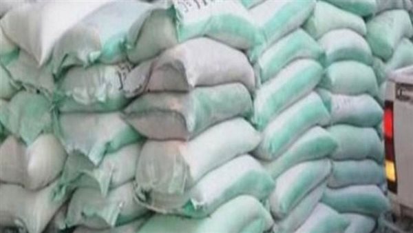 WhatsApp Image 2025-02-11 at 17.39.03_e5c773b1