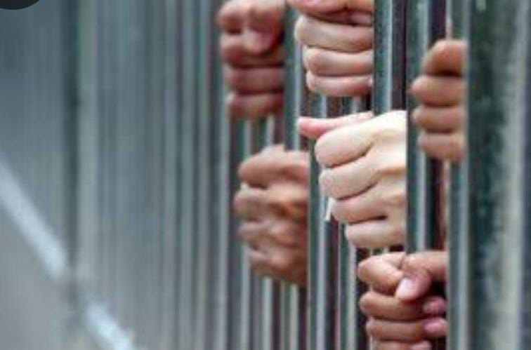 WhatsApp Image 2025-02-17 at 13.29.11_0998af2d