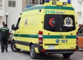 WhatsApp Image 2025-02-20 at 18.54.16_766ecf08