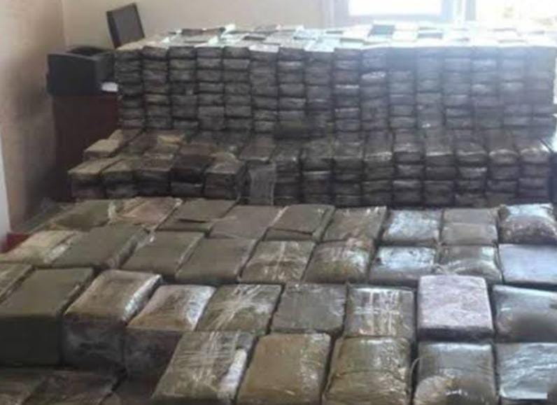 WhatsApp Image 2025-02-24 at 19.16.29_36d98c45