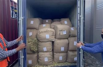 WhatsApp Image 2025-03-06 at 16.54.44_90156c83