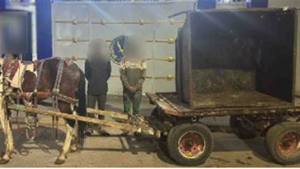 WhatsApp Image 2025-03-19 at 17.32.18_de6f5e5c