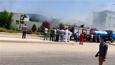 WhatsApp Image 2025-03-19 at 17.43.53_5947d6d0