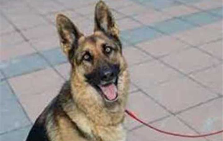 WhatsApp Image 2025-03-22 at 11.15.46_10ab64a9