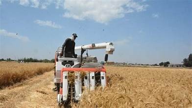 WhatsApp Image 2025-04-25 at 17.40.40_b3d0f8d2