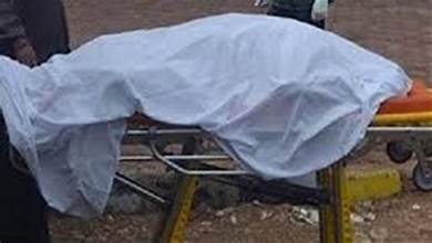 WhatsApp Image 2025-04-29 at 18.31.49_eaf195f9