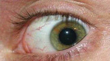 WhatsApp Image 2025-05-01 at 17.31.35_7e3bad1a